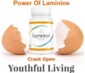 lifepharm global