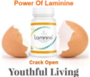 lifepharm global